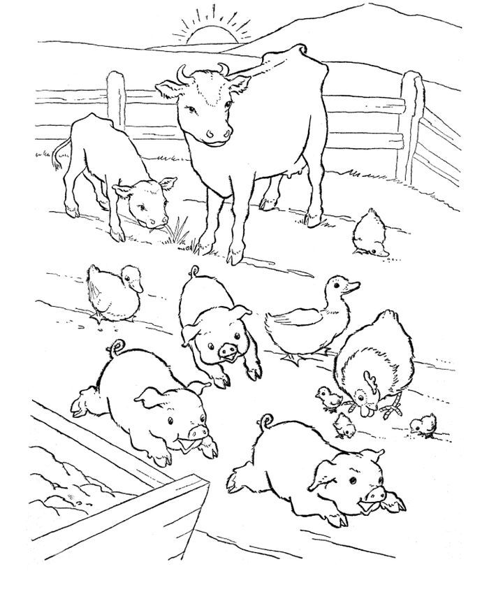 Featured image of post Animal Scene Coloring Pages