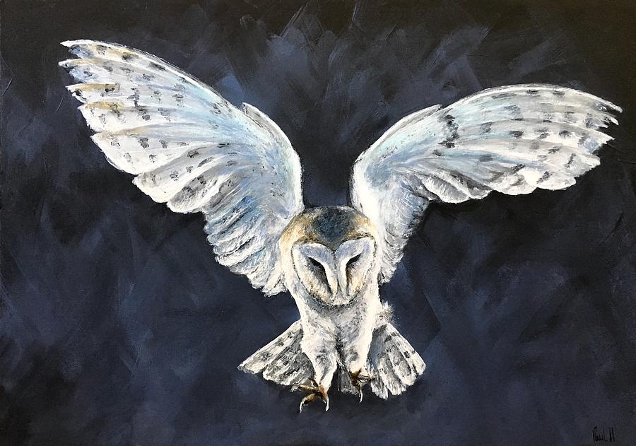 Featured image of post Flying Painting Barn Owl