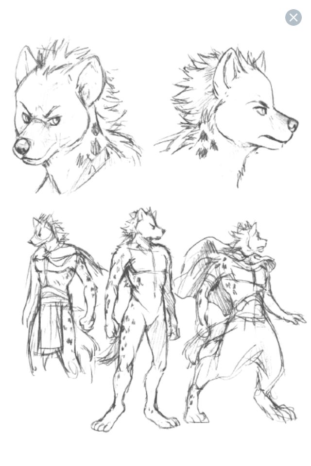 Featured image of post Hyena Furry Drawing Reference