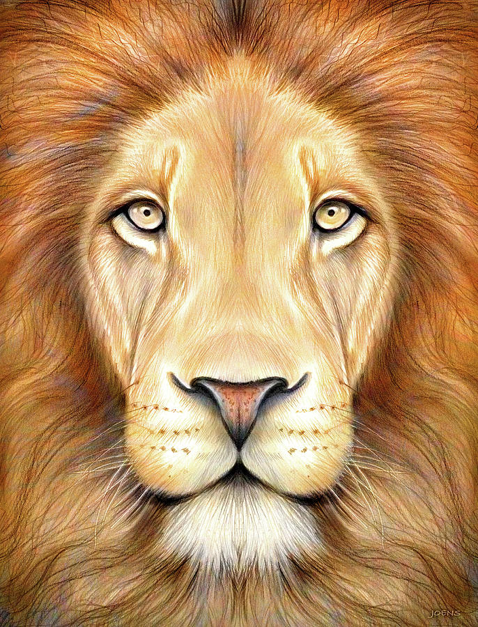 Featured image of post Lion Head Drawing Color