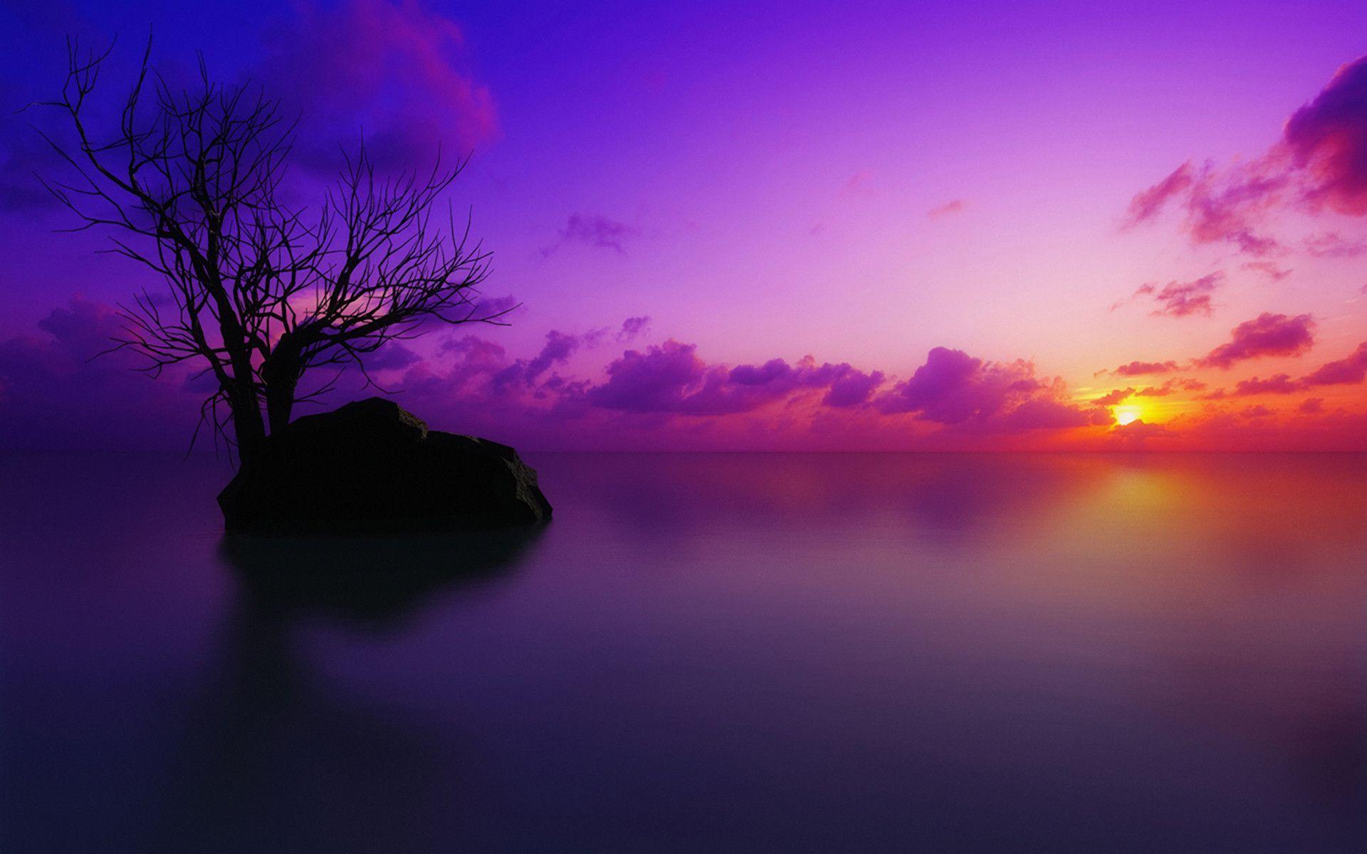 Featured image of post Purple Sunset Wallpaper Computer