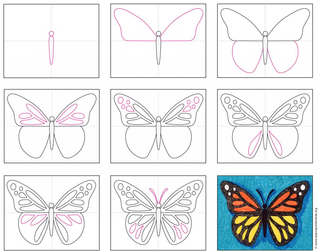 Featured image of post Steps To Draw A Butterfly